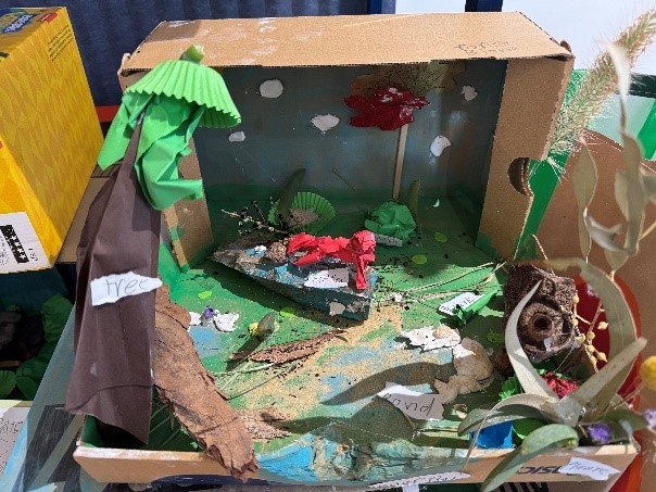 Picture5
