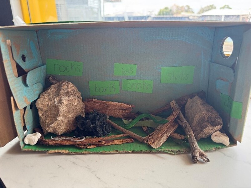 Picture6